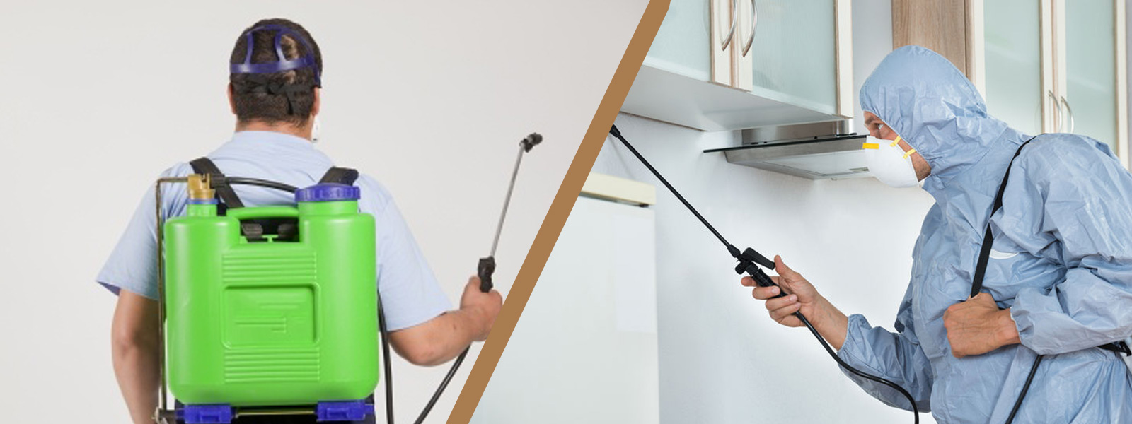 Find The Right Building And Pest Inspection Gold Coast